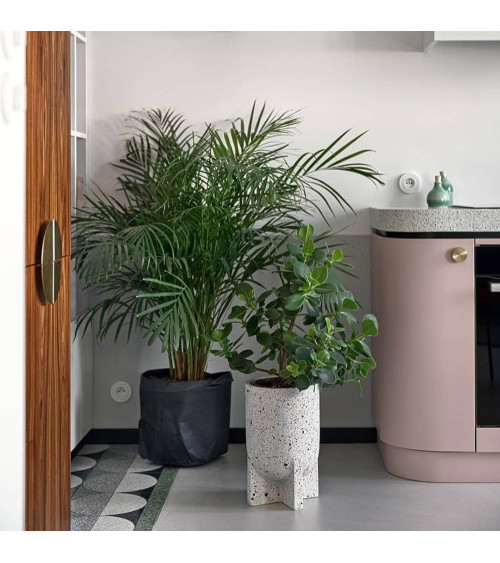 Pomolo per mobile oro opaco TOVE design