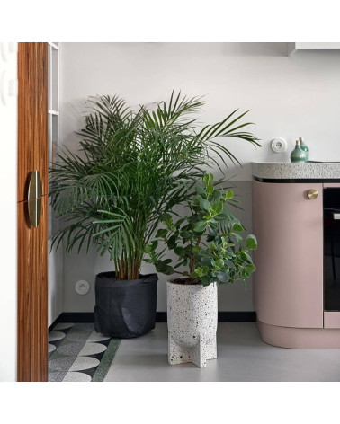 Pomello per mobile oro opaco TOVE maniglia design vista frontale montata su un mobile da cucina con pianta verde