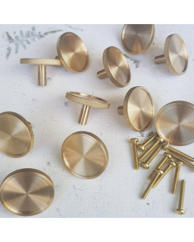 Pomello per mobile in ottone VERA maniglia design più pomelli con viti di montaggio