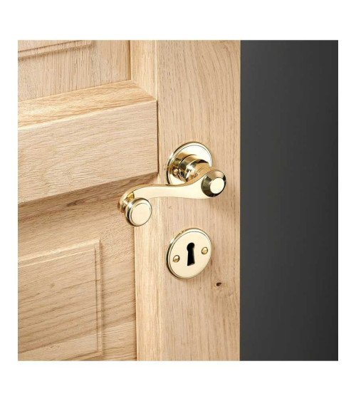 Set maniglia a leva a maniglia per porta in ottone su rosetta rotonda