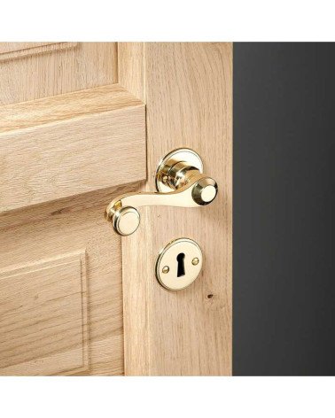 Set maniglia a leva a maniglia per porta in ottone su rosetta rotonda