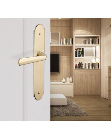 Maniglia per porta moderna su placca Ottone - MADE IN FRANCE