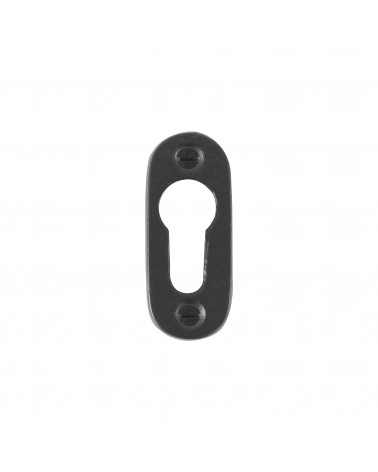 Rosetta per porta CDF chiave PZ-PBTC 1 - ferramenta decorativa design