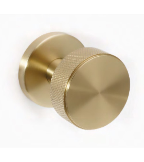 Pomello per porta in acciaio inox dorato satinato PVD per uso intensivo - modello Cers