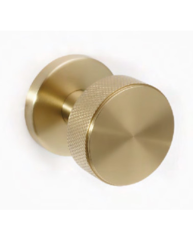 Pomello per porta in acciaio inox dorato satinato PVD per uso intensivo - modello Cers