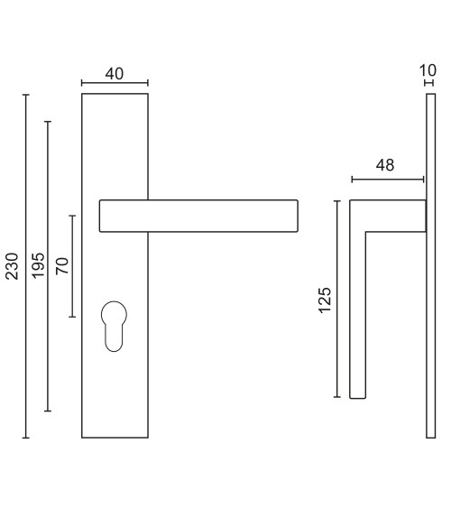 Maniglia Majestea inox su placca rettangolare BDC