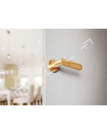 Maniglia per porta dorata opaca ALORA design vista dal basso montata su una porta