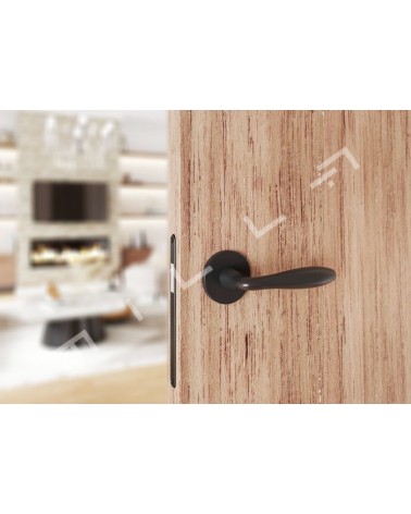 Maniglia per porta nera opaca VERBENA design vista frontale montata su una porta