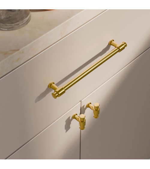 Pomello per mobile oro lucido GALIUM maniglia design