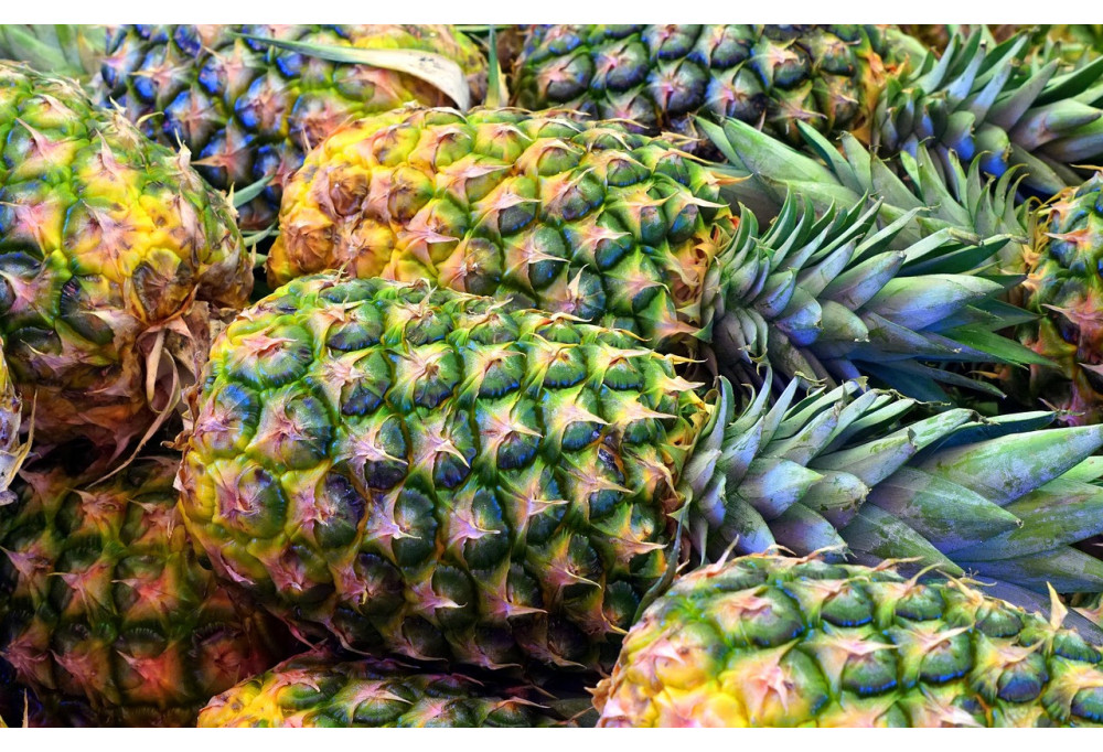 Piñatex, il cuoio vegetale rivoluziona la decorazione d'interni
